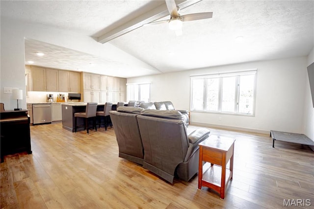 5826 Grandview Ter, Waterloo, IL 62298 - living area featuring light wood finished floors, ceiling fan, and a textured ceiling