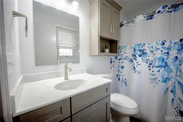 5826 Grandview Ter, Waterloo, IL 62298 - full bath featuring toilet, vanity, and a shower with shower curtain