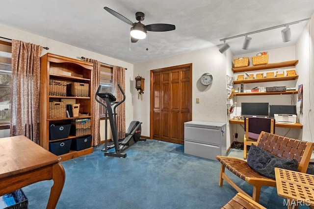 411 S High St, Belleville, IL 62220 - workout area with ceiling fan, carpet floors, and rail lighting