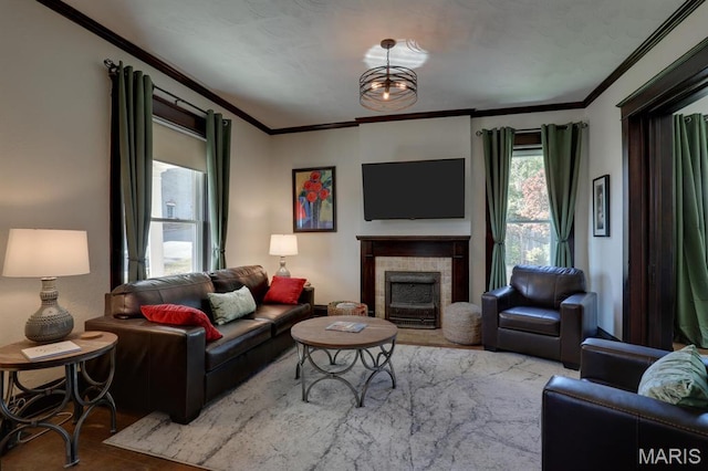 living room featuring ornamental molding, wood finished floors, and a fireplace