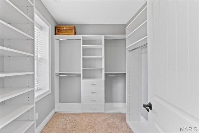 3884 Wyoming St, Saint Louis, MO 63116 - walk in closet with carpet floors