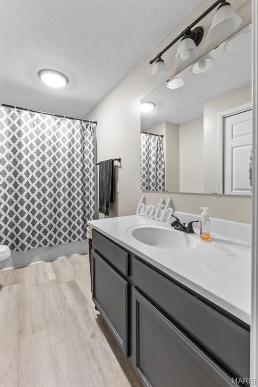 218 County Highway 275, Oran, MO 63771 - full bathroom featuring wood finished floors, vanity, a textured ceiling, toilet, and a shower with shower curtain