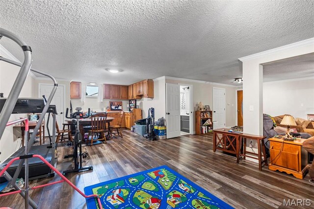 218 County Highway 275, Oran, MO 63771 - rec room featuring crown molding, a textured ceiling, and dark wood finished floors
