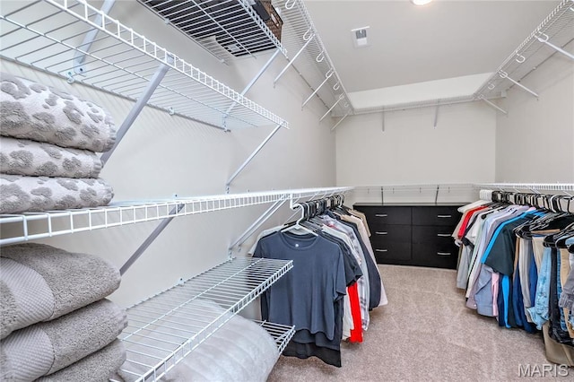 spacious closet with carpet flooring