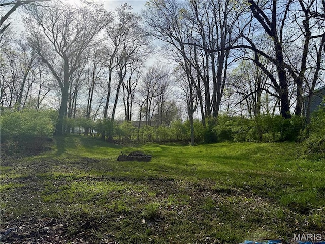 17 Labonte Dr, Saint Charles, MO 63304 - view of undeveloped land