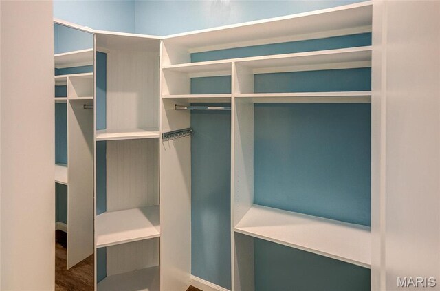 731 Dugger St, Bethalto, IL 62010 - view of spacious closet