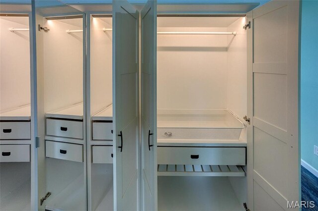 731 Dugger St, Bethalto, IL 62010 - view of closet