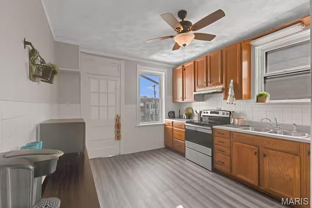 4931 Mardel Ave, Saint Louis, MO 63109 - kitchen with stainless steel range with electric stovetop, a sink, under cabinet range hood, light wood-type flooring, and ornamental molding