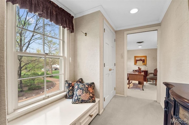 21 Log Cabin Dr, Saint Louis, MO 63124 - mudroom with ornamental molding, light carpet, and a textured wall