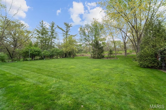 21 Log Cabin Dr, Saint Louis, MO 63124 - view of green lawn