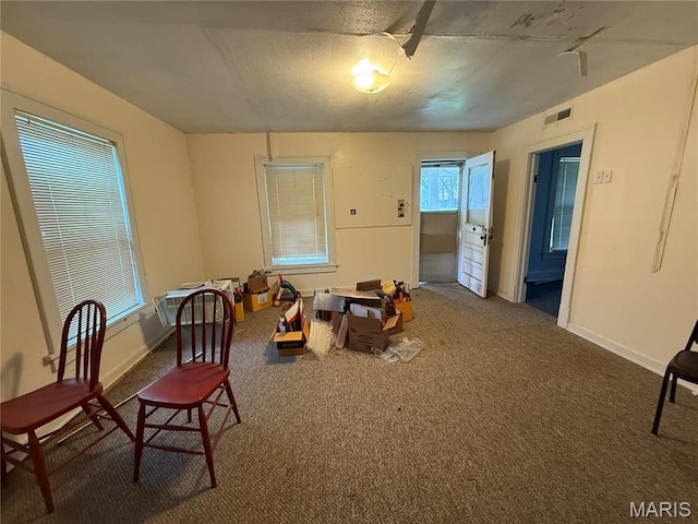 5920 County Rd 20, Belleview, MO 63623 - living area with carpet floors and baseboards