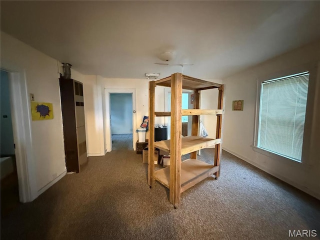 5920 County Rd 20, Belleview, MO 63623 - bedroom with carpet flooring and baseboards