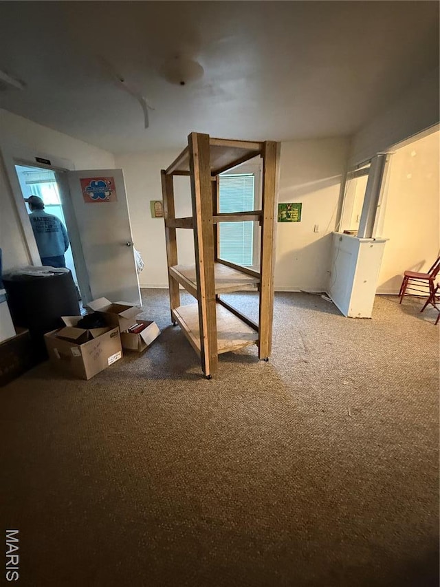 5920 County Rd 20, Belleview, MO 63623 - bedroom with carpet flooring