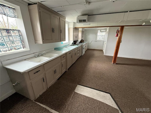 5920 County Rd 20, Belleview, MO 63623 - kitchen featuring a sink, dark carpet, and healthy amount of natural light