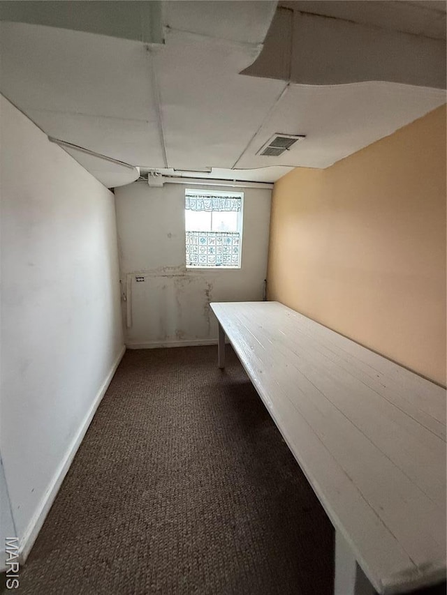 5920 County Rd 20, Belleview, MO 63623 - below grade area featuring carpet floors and baseboards