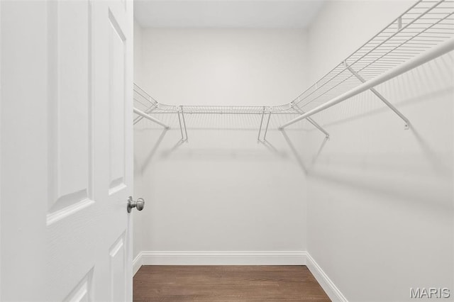 362 Hibler Ct, Saint Louis, MO 63141 - walk in closet featuring wood finished floors