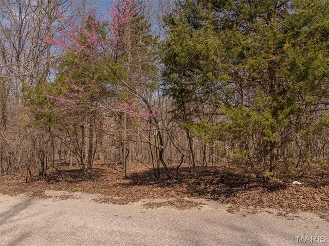 2456 Alpine Peak Dr, Innsbrook, MO 63390