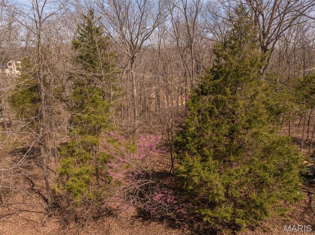 2456 Alpine Peak Dr, Innsbrook, MO 63390