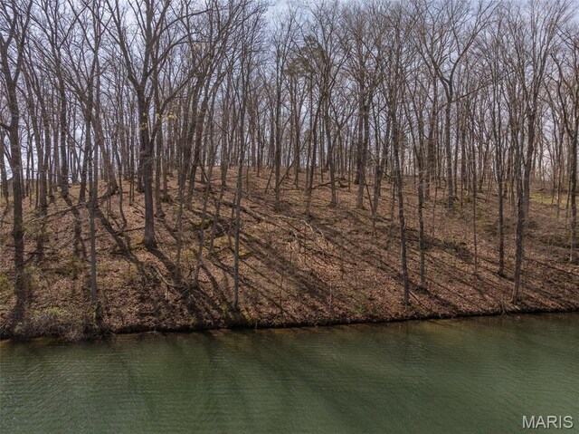 2456 Alpine Peak Dr, Innsbrook, MO 63390