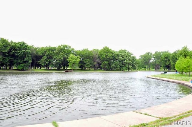 5872 Sunshine Dr Unit 110, Saint Louis, MO 63109 - water view with a tree filled landscape