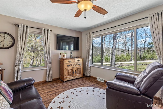 13145 Wanda Lee Ln, Saint Genevieve, MO 63670 - living area with plenty of natural light, a textured ceiling, a ceiling fan, and baseboards