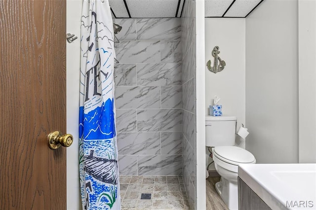 13145 Wanda Lee Ln, Saint Genevieve, MO 63670 - bathroom with tiled shower and toilet