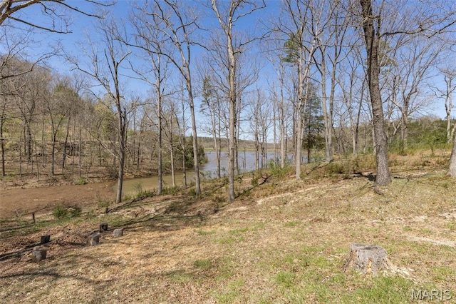 13145 Wanda Lee Ln, Saint Genevieve, MO 63670 - view of yard featuring a water view