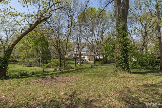 8907 Spur Ln, Saint Louis, MO 63121 - view of yard