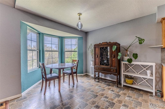20373 Heritage Rd, Saint Robert, MO 65584 - dining space with stone finish floors, baseboards, plenty of natural light, a textured ceiling, and a textured wall