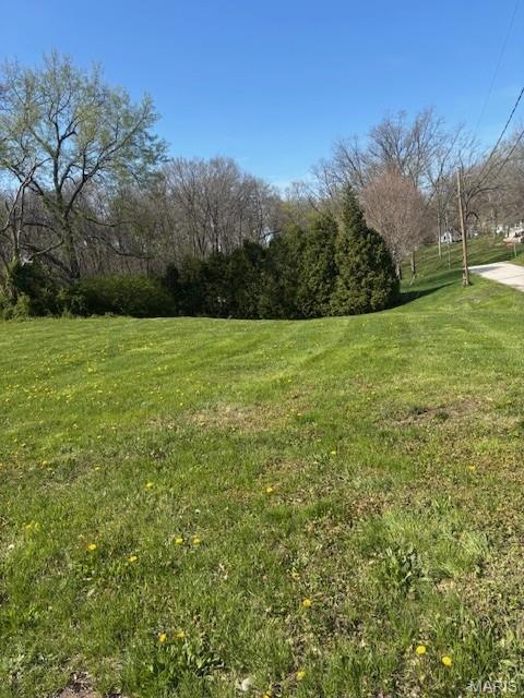 112 Blaine St, Pocahontas, IL 62275 - photo 4