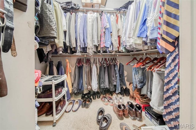 view of walk in closet