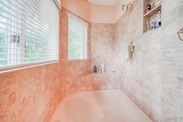 view of full bathroom