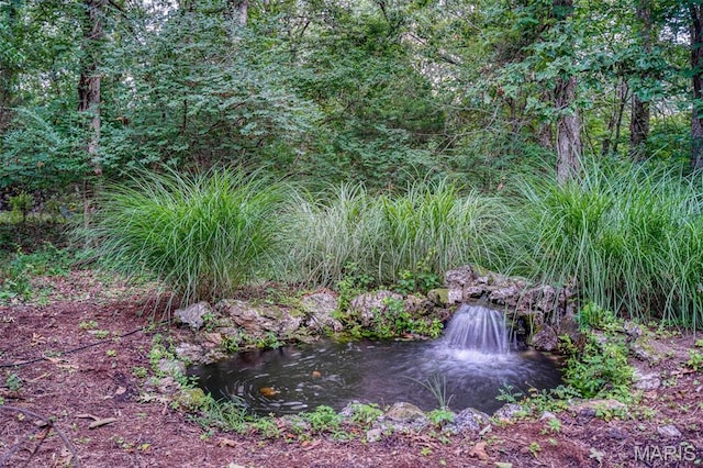 view of local wilderness