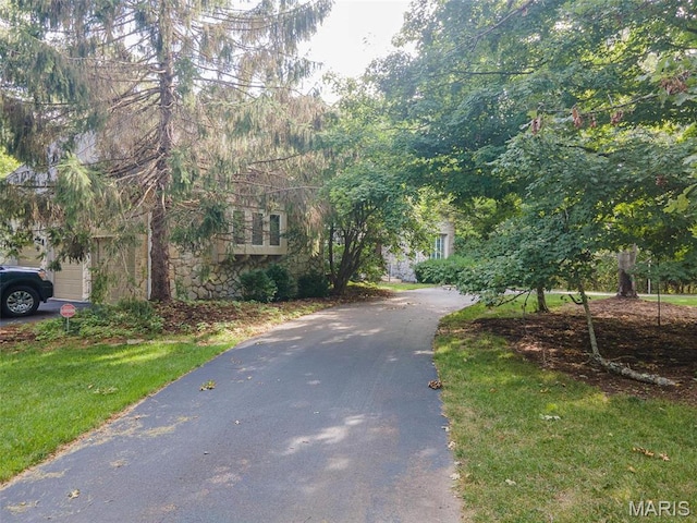 view of asphalt driveway