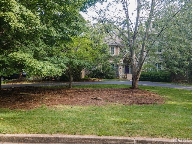 view of front facade featuring a front yard