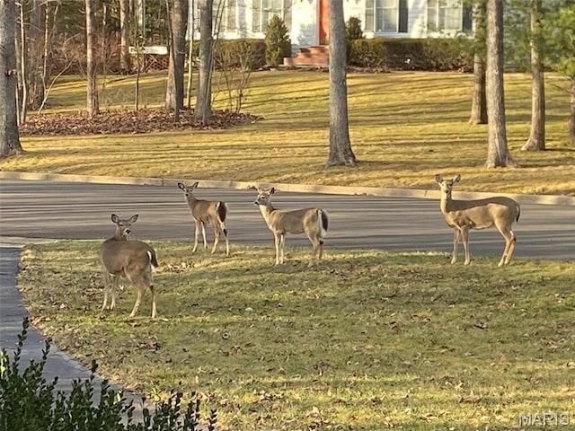 surrounding community featuring a lawn