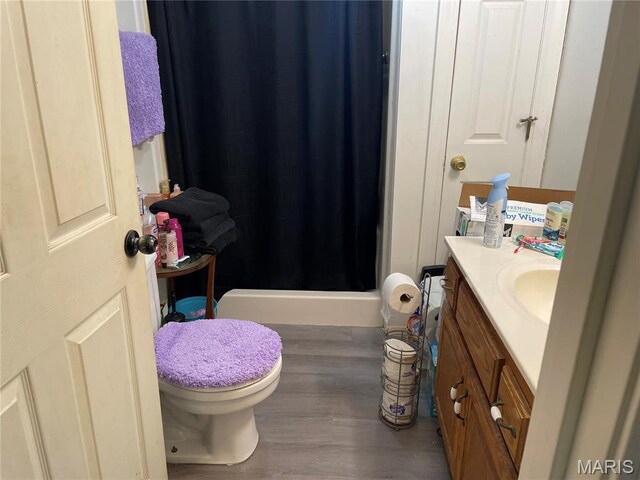 101 County Road 5170, Salem, MO 65560 - full bathroom featuring wood finished floors, a stall shower, vanity, and toilet