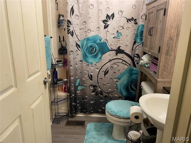 101 County Road 5170, Salem, MO 65560 - bathroom featuring toilet, wood finished floors, curtained shower, and a sink