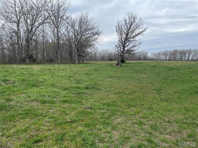 101 County Road 5170, Salem, MO 65560 - view of yard with a view of countryside