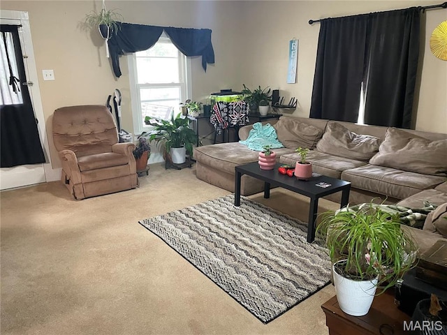 101 County Road 5170, Salem, MO 65560 - view of carpeted living room