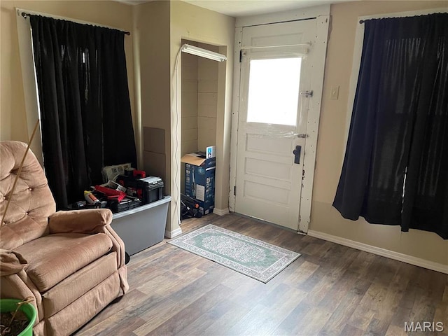101 County Road 5170, Salem, MO 65560 - entryway with wood finished floors and baseboards