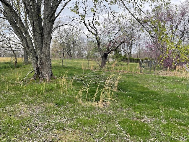 101 County Road 5170, Salem, MO 65560 - view of yard