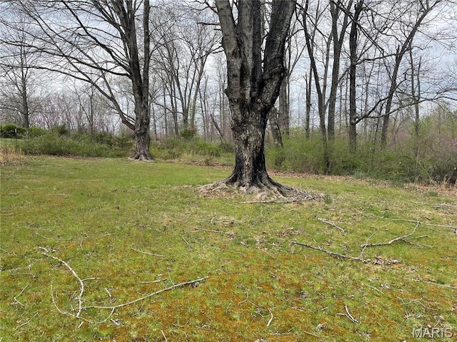 101 County Road 5170, Salem, MO 65560 - view of yard
