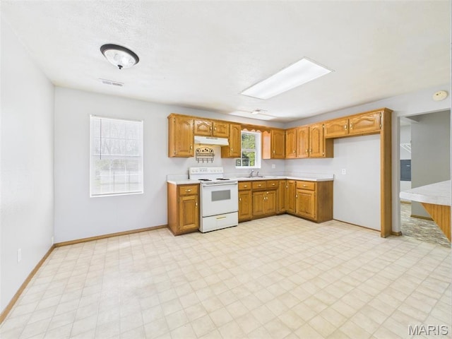 710 W Jefferson Ave, Conway, MO 65632 - kitchen featuring electric range, under cabinet range hood, a sink, and light countertops