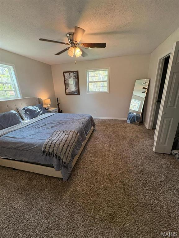 10817 Cabin Ln, Dexter, MO 63841 - carpeted bedroom featuring a textured ceiling, multiple windows, baseboards, and a ceiling fan