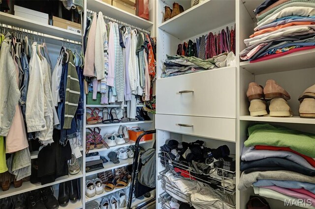 8025 Maryland Ave Unit 2H, Saint Louis, MO 63105 - view of walk in closet
