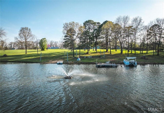 238 Novak Ln, Gerald, MO 63037 - photo 48