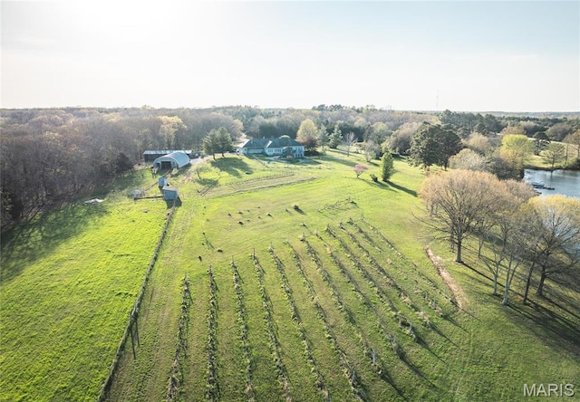 238 Novak Ln, Gerald, MO 63037 - photo 59