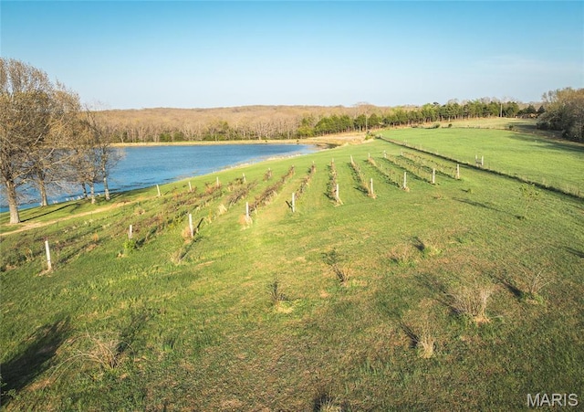 238 Novak Ln, Gerald, MO 63037 - photo 60