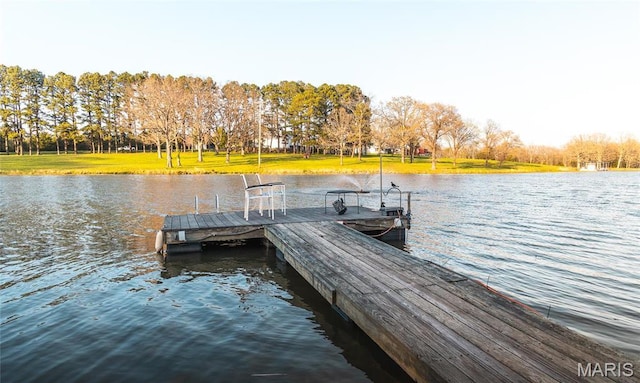 238 Novak Ln, Gerald, MO 63037 - photo 66